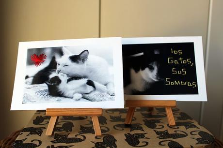 Magia bordada hacia Pucela