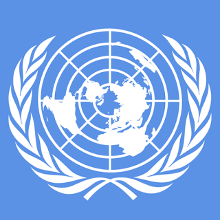La ONU es necesaria, pero refundada