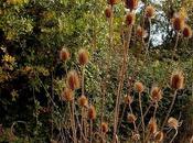 Otoño