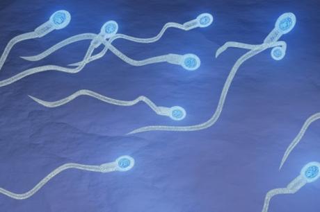 Qué tan saludable es tu semen? Descúbrelo aquí...
