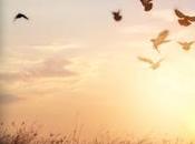 Ejercicios Espirituales ignacianos acompañados Santa Teresa