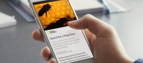 Facebook- Nuevos formatos de anuncios, videos 360 y fotos en Instant Articles