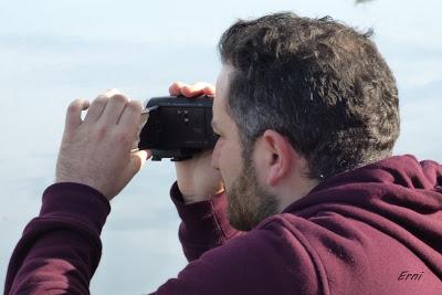 BANDADAS DE ORNITÓLOGOS EN CANTABRIA...