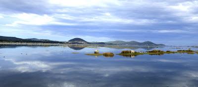 BANDADAS DE ORNITÓLOGOS EN CANTABRIA...