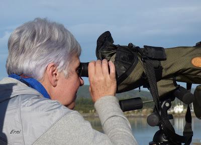 BANDADAS DE ORNITÓLOGOS EN CANTABRIA...