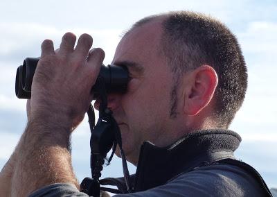 BANDADAS DE ORNITÓLOGOS EN CANTABRIA...