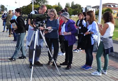 BANDADAS DE ORNITÓLOGOS EN CANTABRIA...