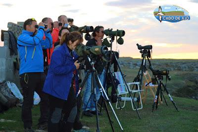BANDADAS DE ORNITÓLOGOS EN CANTABRIA...