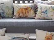 Gancedo sabe bien, lanzado Ready