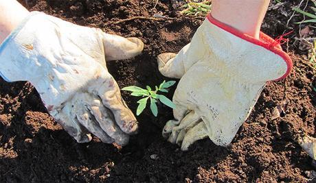 ¿Qué es el consumo colaborativo?