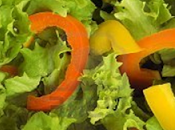 Ensalada Lechuga extras