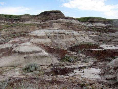 canada-03-dinosaur-trail-04