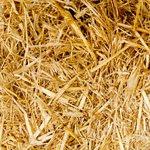 VISTO EN LOGITRAVEL: Crucero Italia, Croacia, Grecia desde 379 €