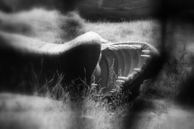 El cementerio de dinosaurios de Berlin Este