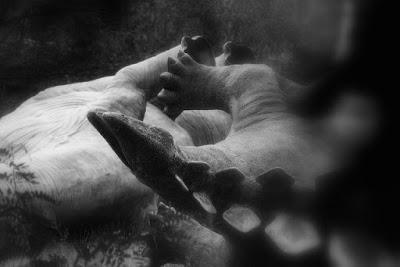 El cementerio de dinosaurios de Berlin Este