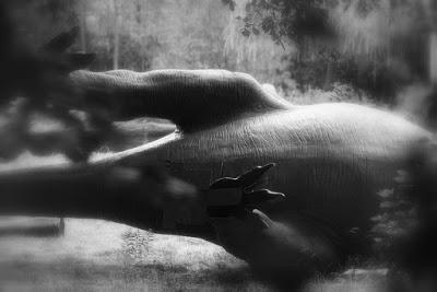 El cementerio de dinosaurios de Berlin Este