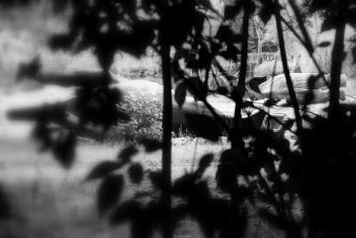 El cementerio de dinosaurios de Berlin Este