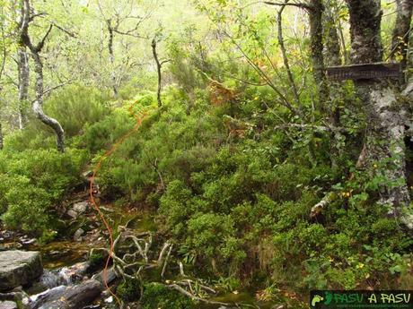 Reserva Natural Integral de Muniellos: Ruta a las Lagunas de Muniellos