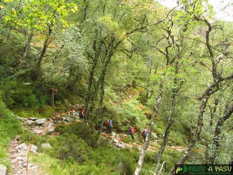 Los Tres Cruces en Muniellos