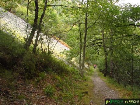 Camino bajando por Muniellos