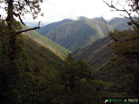 Valle de Muniellos