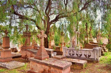 15352005132_006f956592_z