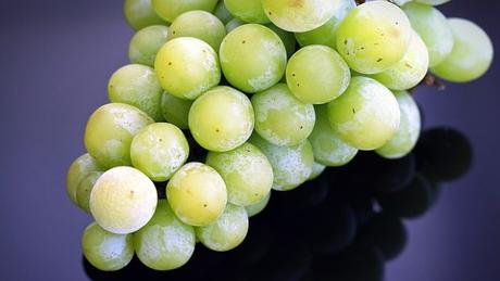 Alimentacion y Salud