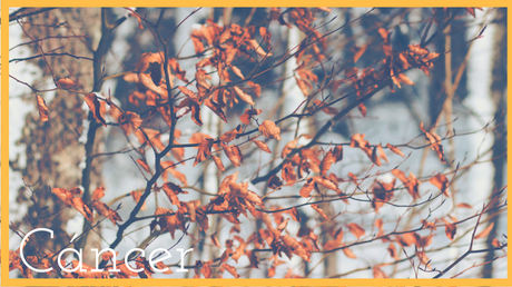 «Cáncer» | Carmelo Beltrán