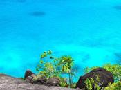 Pasar tiempo naturaleza bueno para salud mental