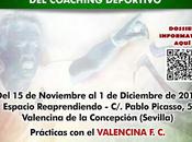 Nuestro último gran proyecto