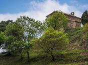 Sant Joan Graell