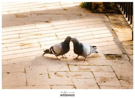 fotografia-de-boda-cordoba-iglesia-99