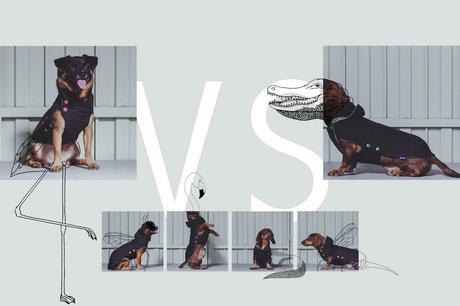 You drive me crazy, lo nuevo de Pepito&Co.