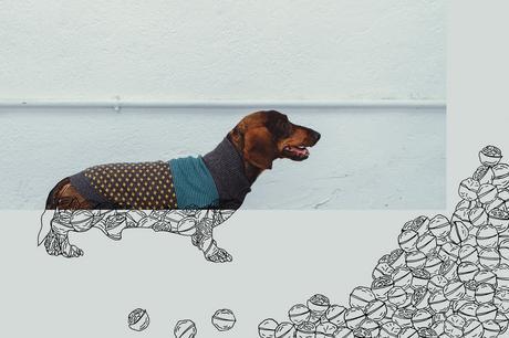 You drive me crazy, lo nuevo de Pepito&Co.