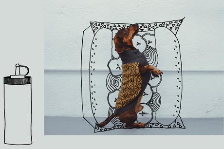 You drive me crazy, lo nuevo de Pepito&Co.