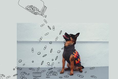 You drive me crazy, lo nuevo de Pepito&Co.