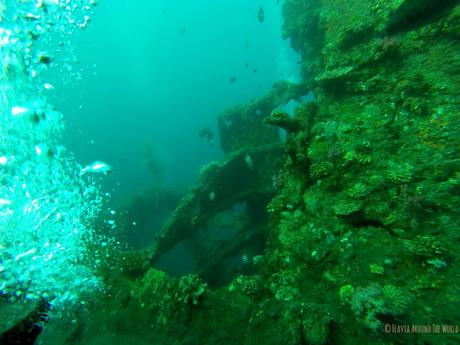 Submarinismo en el Liberty wreck en Bali