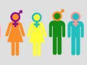 separación sexos, escuela, sociedad