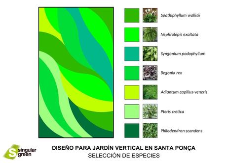 Selección de especies jardín vertical