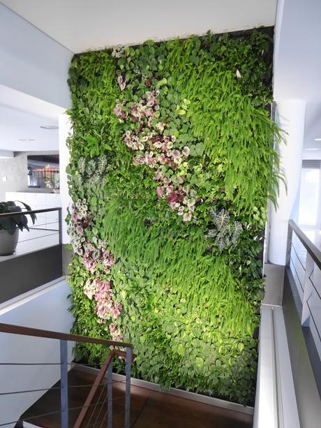 Jardín vertical en Mallorca