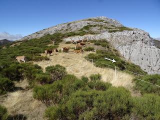 Puebla de Lillo-Aparejo Grande-Maón-Rebueno-La Mojonerina