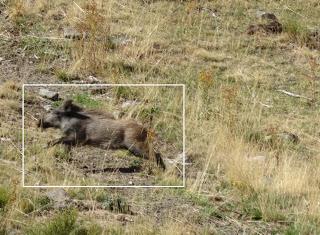 Puebla de Lillo-Aparejo Grande-Maón-Rebueno-La Mojonerina