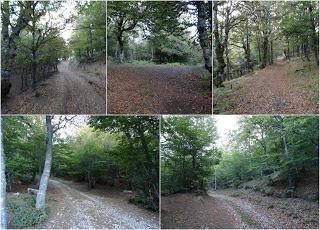 Puebla de Lillo-Aparejo Grande-Maón-Rebueno-La Mojonerina