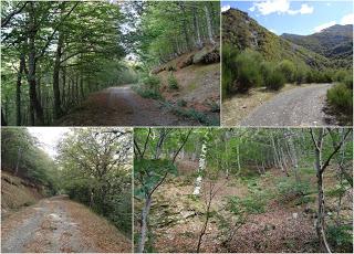 Puebla de Lillo-Aparejo Grande-Maón-Rebueno-La Mojonerina