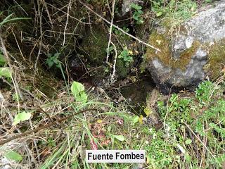 Puebla de Lillo-Aparejo Grande-Maón-Rebueno-La Mojonerina