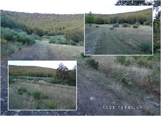 Puebla de Lillo-Aparejo Grande-Maón-Rebueno-La Mojonerina