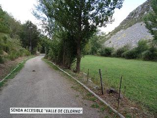 Puebla de Lillo-Aparejo Grande-Maón-Rebueno-La Mojonerina