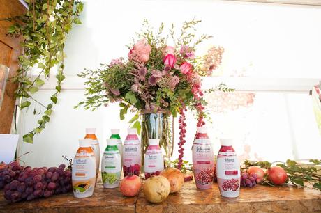 presentación, johnson's vita rich