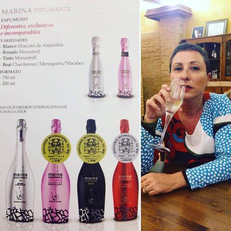 Cata de Vinos, Turisteo, Enoturismo, Bodegas, Bocopa, Bodegas Bocopa, Petrer, Santurario, Novelda, Santuario de Novelda, Salida en Familia, Vinos de Alicante, blog solo yo, solo yo, blogger alicante,