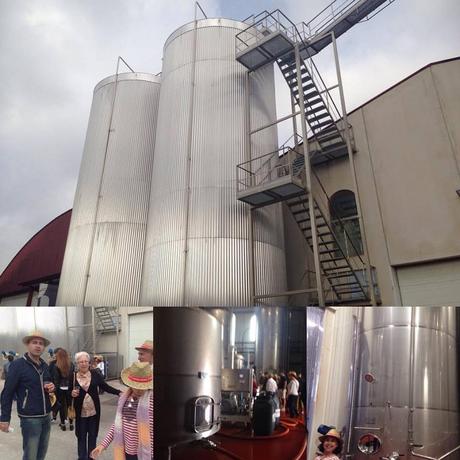 Cata de Vinos, Turisteo, Enoturismo, Bodegas, Bocopa, Bodegas Bocopa, Petrer, Santurario, Novelda, Santuario de Novelda, Salida en Familia, Vinos de Alicante, blog solo yo, solo yo, blogger alicante,